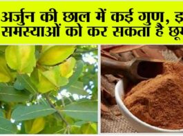 Arjuna Bark Benefits