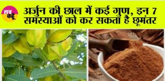 Arjuna Bark Benefits