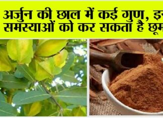 Arjuna Bark Benefits