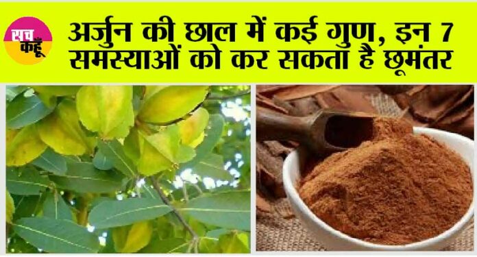 Arjuna Bark Benefits