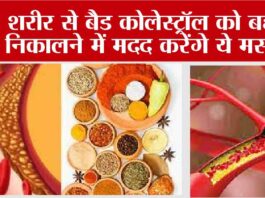 How To Control Cholesterol Level: शरीर से बैड कोलेस्ट्रॉल को बहार निकालने में मदद करेंगे ये मसाले Cholesterol
