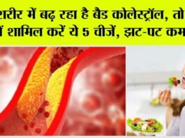 Cholesterol Control Foods