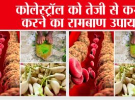 Cholesterol Control Foods