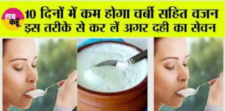 Curd For Weight Loss