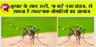Dengue Dangerous Symptom
