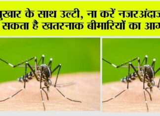 Dengue Dangerous Symptom: बुखार के साथ उल्टी, ना करें नजरअंदाज, हो सकता है खतरनाक बीमारियों का आगाज Dengue Dangerous Symptom