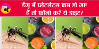 Dengue Diet