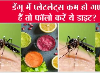 Dengue Diet