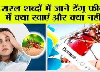 Dengue Diet: सरल शब्दों में जाने डेंगू फीवर में क्या खाएं और क्या नहीं.. Dengue Diet