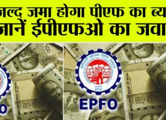 EPF Interest Rate: जल्द जमा होगा पीएफ का ब्याज? जानें ईपीएफओ का जवाब… EPF Interest Rate