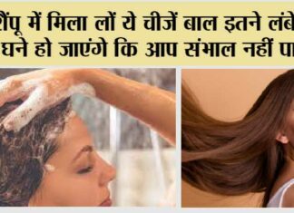 Get Long Hair: Shampoo में मिला लों ये चीजें बाल इतने लंबे और घने हो जाएंगे कि आप संभाल नहीं पाएंगे Get Long Hair