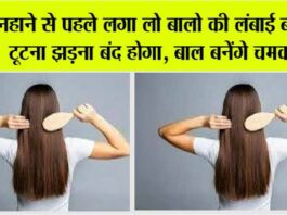 Get Long Shiny Hair: नहाने से पहले लगा लो बालो की लंबाई बढ़ेगी, टूटना झड़ना बंद होगा, बाल बनेंगे चमकदार Get Long Shiny Hair