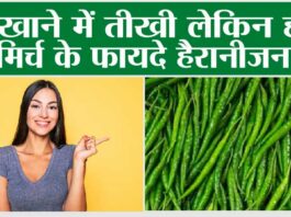 Green Chilly Benefits: हर रोज हरी मिर्च एक, फायदे अनेक Green Chilly Benefits