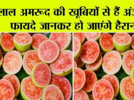 Guava Benefits: लाल अमरूद की खूबियों से हैं अंजान, फायदे जानकर हो जाएंगे हैरान! Guava Benefits