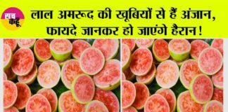 Guava Benefits