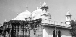 Gyanvapi Survey