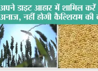 Health News: अपने डाइट आहार में शामिल करें ये 3 अनाज, 100 साल तक नहीं होगी कैल्शियम की कमी Health News