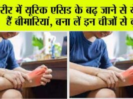 High Uric Acid: शरीर में यूरिक एसिड के बढ़ जाने से ये होती हैं बीमारियां, बना लें इन चीजों से दूरी High Uric Acid
