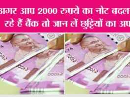 Indian Currency: अगर आप 2000 रुपये का नोट बदलने जा रहे हैं बैंक तो जान लें छुट्टियों का अपडेट Indian Currency