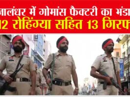 Jalandhar: जालंधर में गोमांस फैक्टरी का भंडाफोड़, 12 रोहिंग्या सहित 13 गिरफ्तार Jalandhar