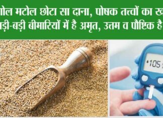 Kodo Millet Benefits: गोल मटोल छोटा सा दाना, पोषक तत्त्वों का खजाना, बड़ी-बड़ी बीमारियों में है अमृत, उत्तम व पौष्टिक है खाना Kodo Millet Benefits