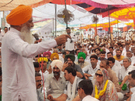 Sirsa News