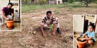 Tree Plantation