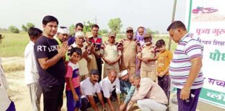 Tree Plantation