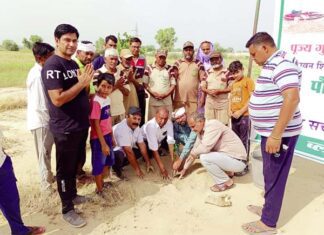 Tree Plantation