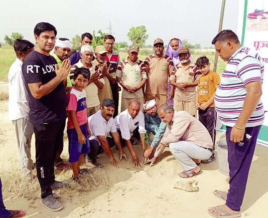 Tree Plantation
