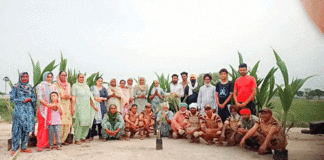 Tree Plantation in Hyderabad