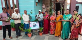 Tree Plantation in Maharashtra