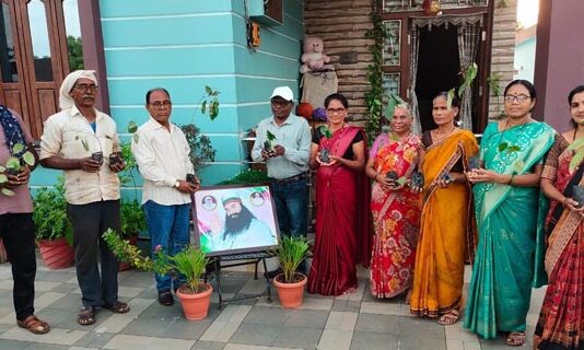 Tree Plantation in Maharashtra