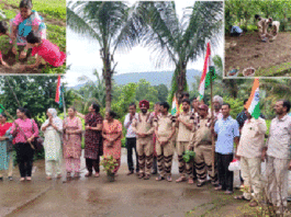 Tree Plantation in Maharashtra