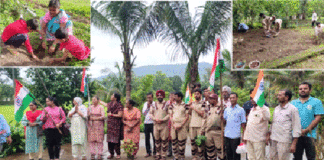 Tree Plantation in Maharashtra