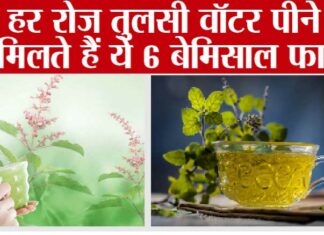 Tulsi Benefits