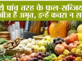 Vegetable Seeds Benefits: ये पांच तरह के फल-सब्जियों के बीज हैं अमृत, इन्हें कचरा न समझें, खाने से सेहत को मिलता है भरपूर पोषण Vegetable Seeds Benefits
