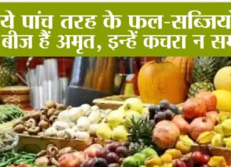 Vegetable Seeds Benefits: ये पांच तरह के फल-सब्जियों के बीज हैं अमृत, इन्हें कचरा न समझें, खाने से सेहत को मिलता है भरपूर पोषण Vegetable Seeds Benefits