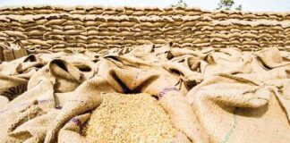 Food Grains