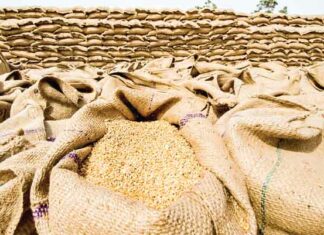 Food Grains