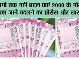 2000 Note Exchange: अभी तक नहीं बदल पाएं 2000 के नोट, तो यहां जाने बदलने का प्रोसेस और लास्ट डेट 2000 Note Exchange