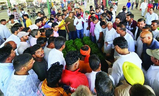 अबोहर की किन्नू मंडी में किन्नू की आमद शुरु Abohar News