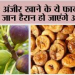 Anjeer