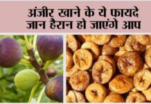 Anjeer
