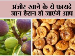 Anjeer