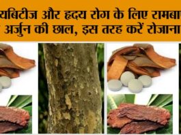 Arjuna Bark Benefits
