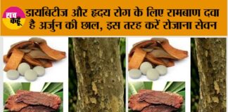 Arjuna Bark Benefits