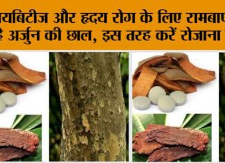 Arjuna Bark Benefits