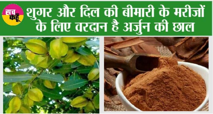 Benefits of Arjuna Chha