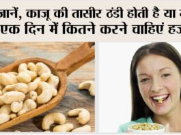 Benefits of Cashew: जानें, काजू की तासीर ठंडी होती है या गर्म, एक दिन में कितने करने चाहिएं हजम? Benefits of Cashew